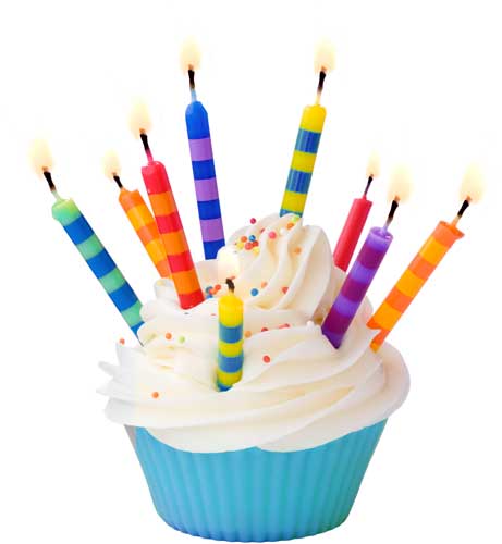 organisation anniversaire d'entreprise arbre noel
